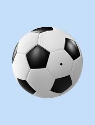 锁定米兰冬残奥资格！中国队第四次夺得轮椅冰壶世锦赛冠军