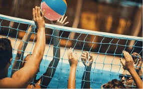 industry-portal-article-layout