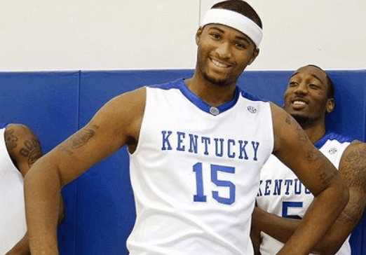 中的一环松 中的一环松